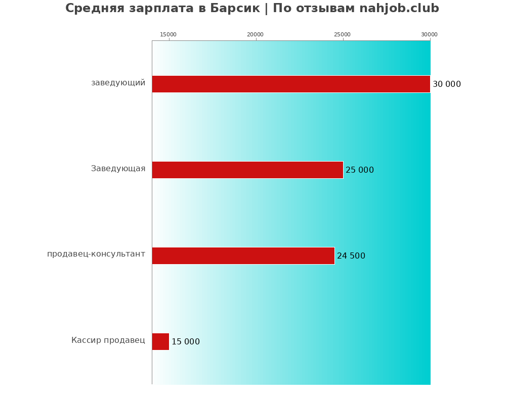 Средний уровень зарплаты в Барсик