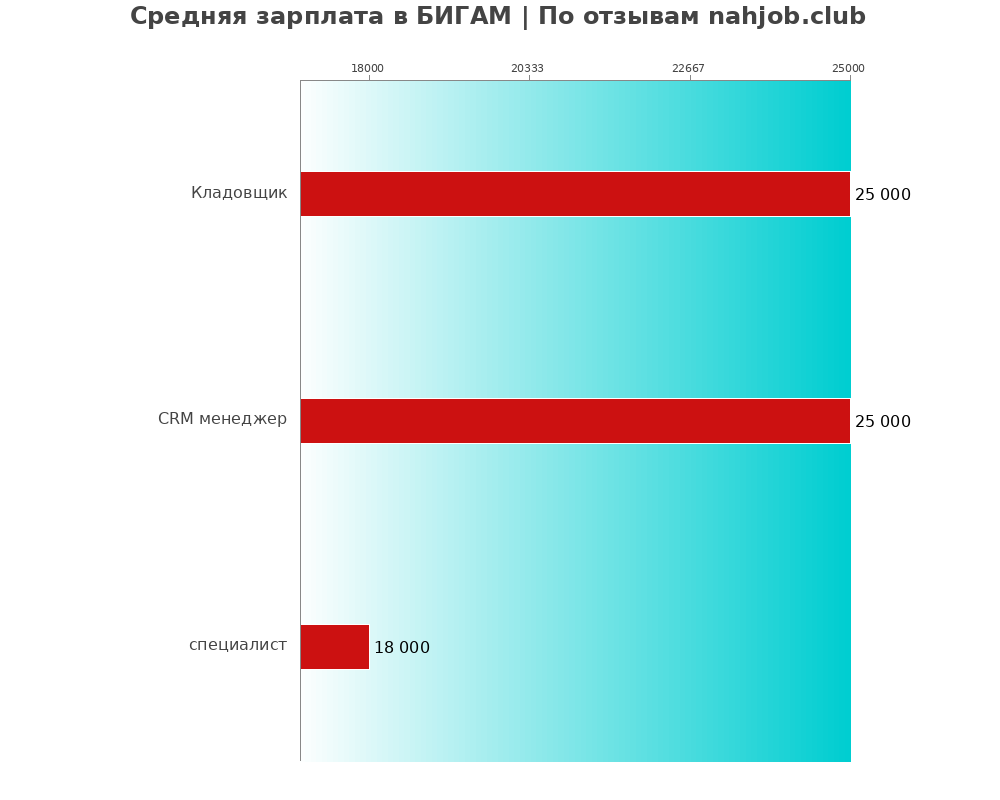 Средний уровень зарплаты в БИГАМ