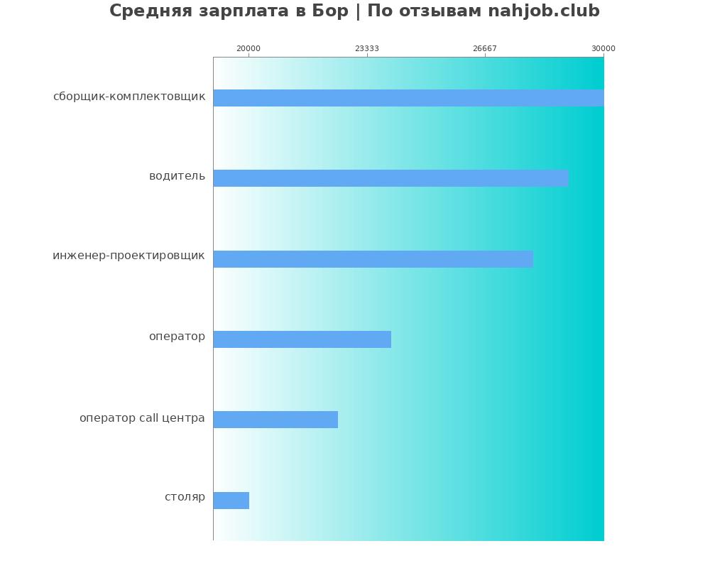 Средний уровень зарплаты в Бору
