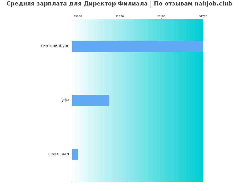Средний уровень зарплаты в директоре филиала