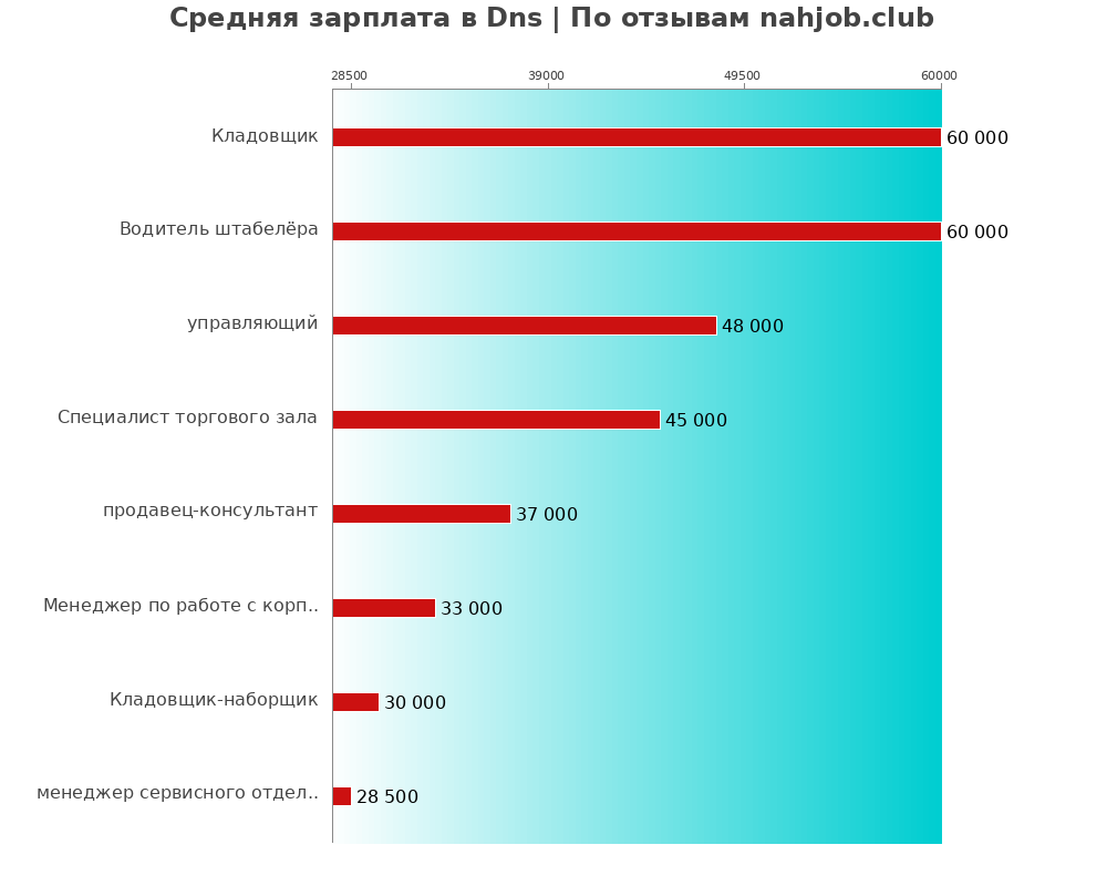 Средний уровень зарплаты в Dns