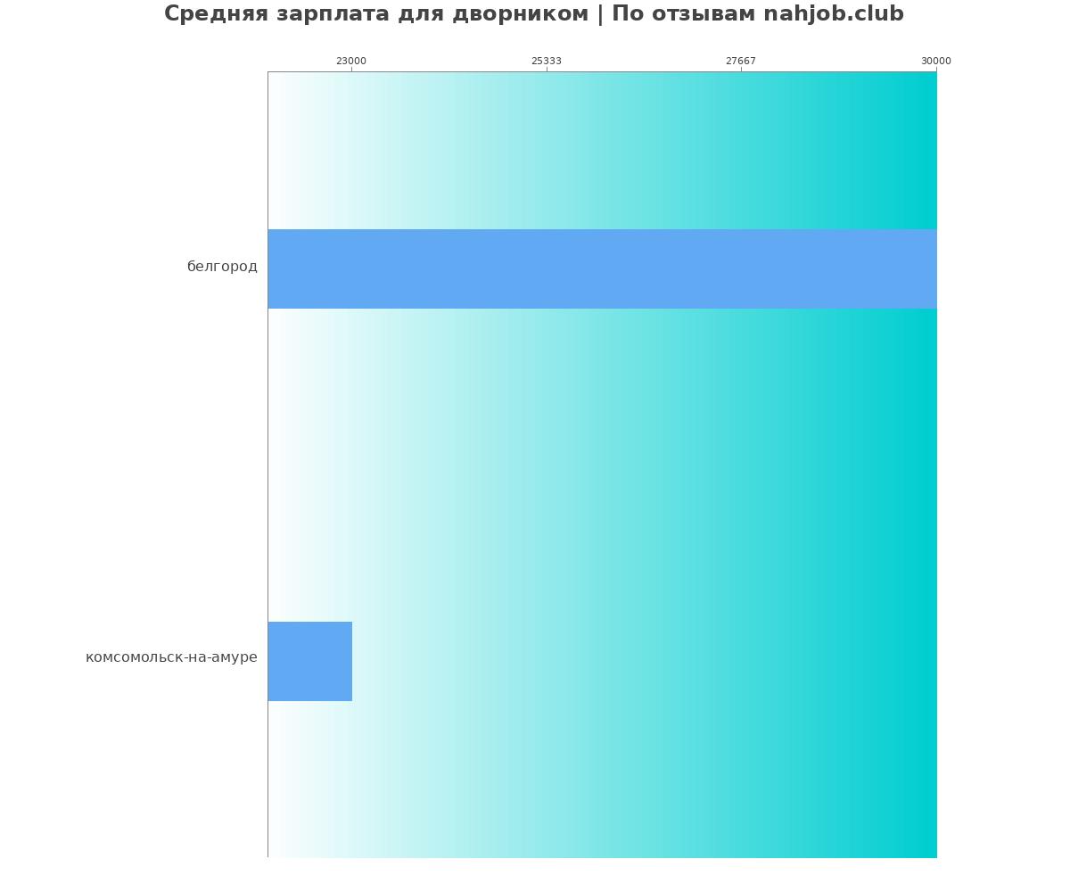 Средний уровень зарплаты в дворнике