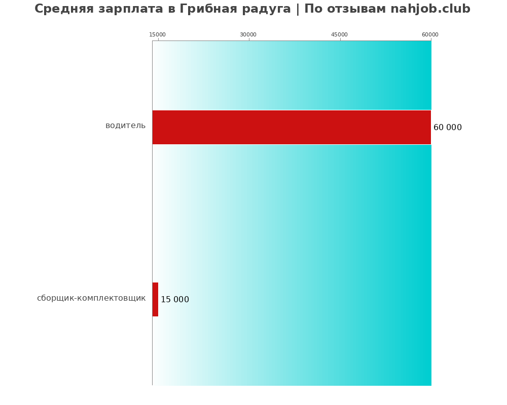 Средний уровень зарплаты в Грибная радуга