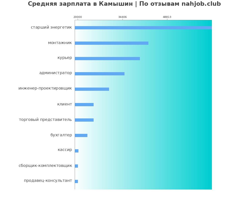 Средний уровень зарплаты в Камышине