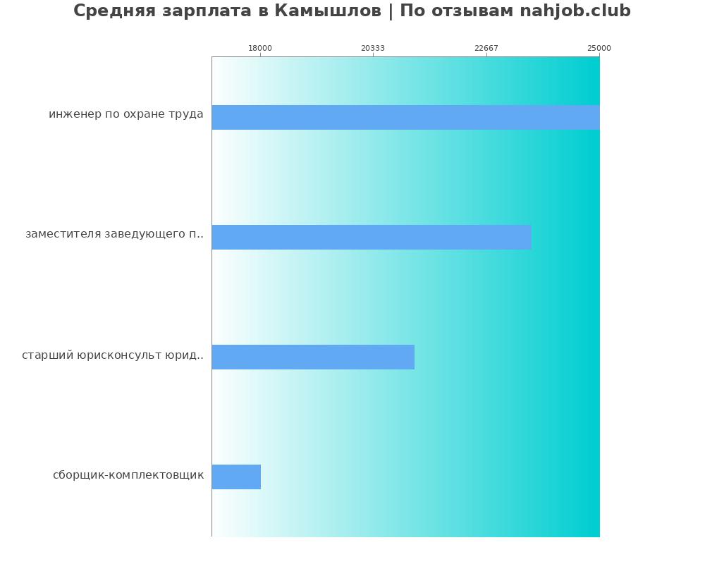 Средний уровень зарплаты в Камышлове