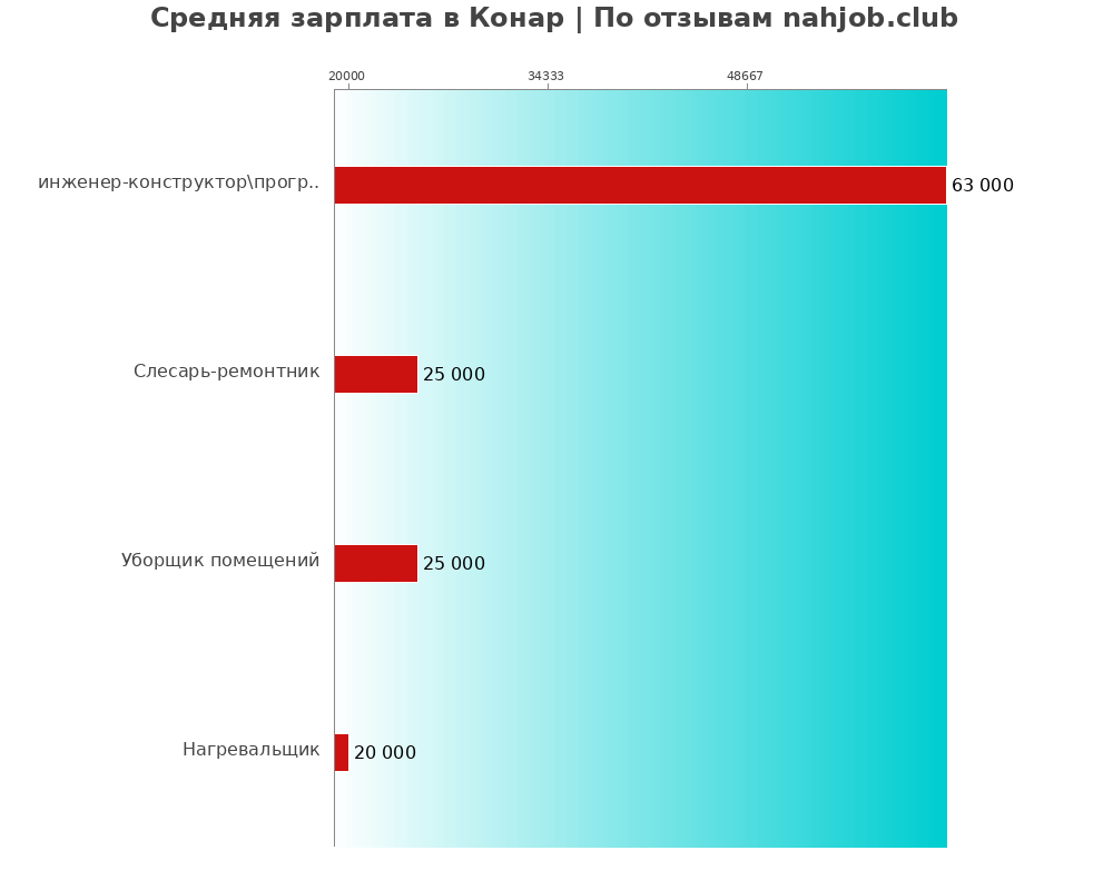 Средний уровень зарплаты в Конар