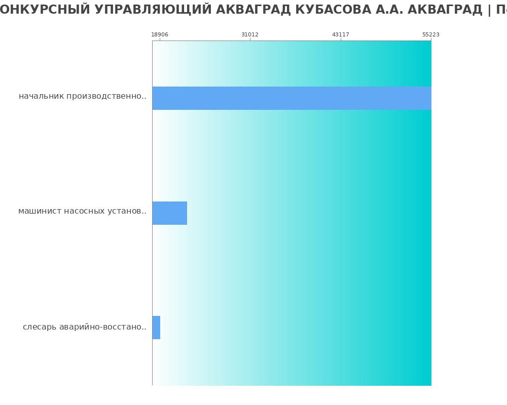 Средний уровень зарплаты в КОНКУРСНЫЙ УПРАВЛЯЮЩИЙ АКВАГРАД КУБАСОВА А.А. АКВАГРАД