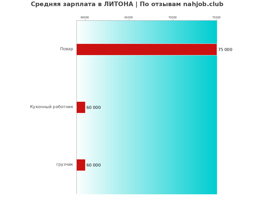 Средний уровень зарплаты в ЛИТОНА