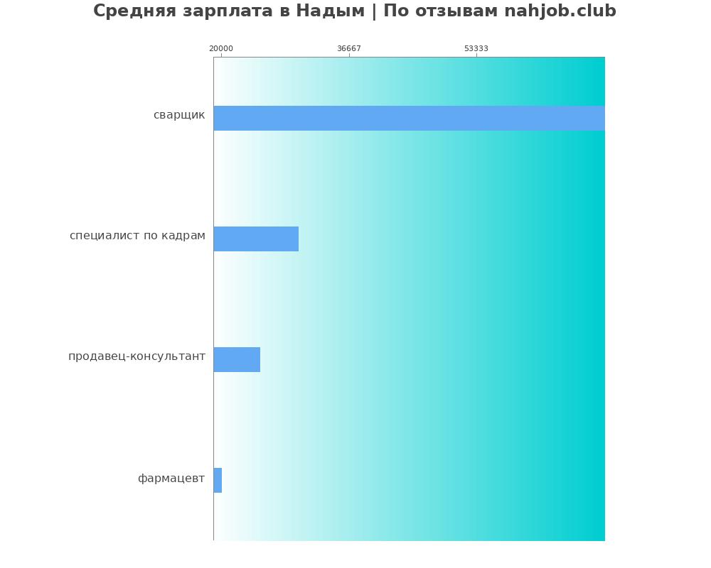 Средний уровень зарплаты в Надыме