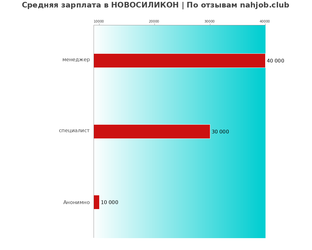 Средний уровень зарплаты в НОВОСИЛИКОН