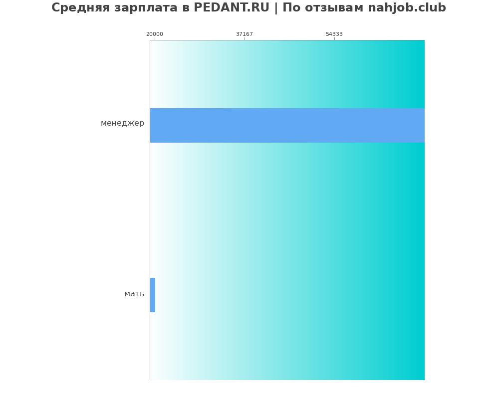Средний уровень зарплаты в PEDANT.RU Средний уровень зарплаты в PEDANT.RU