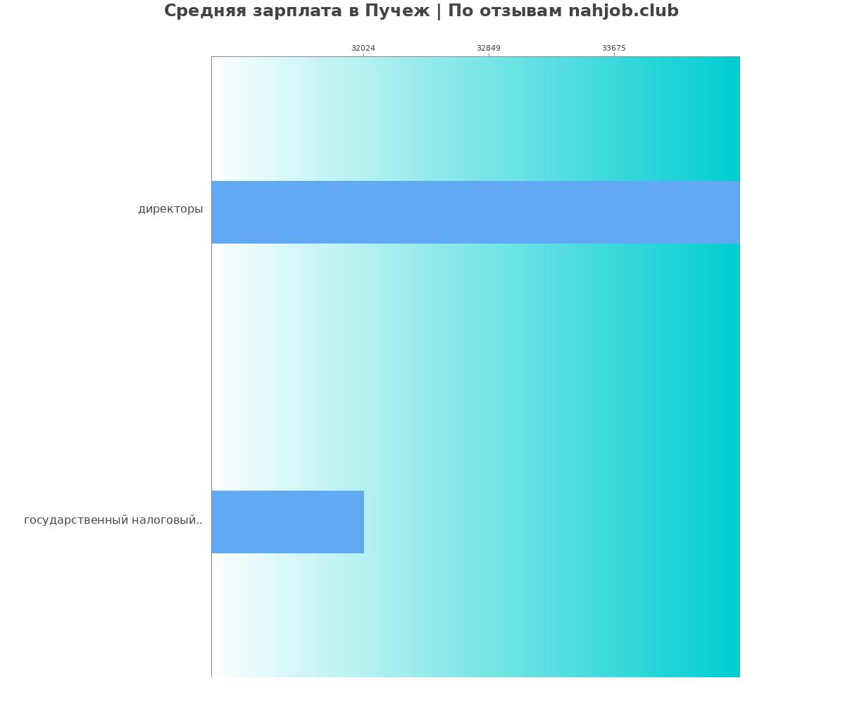 Средний уровень зарплаты в Пучеже