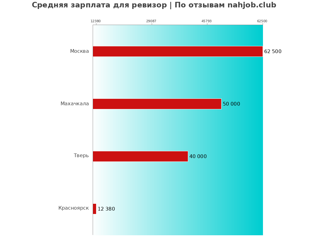 Средний уровень зарплаты в ревизоре