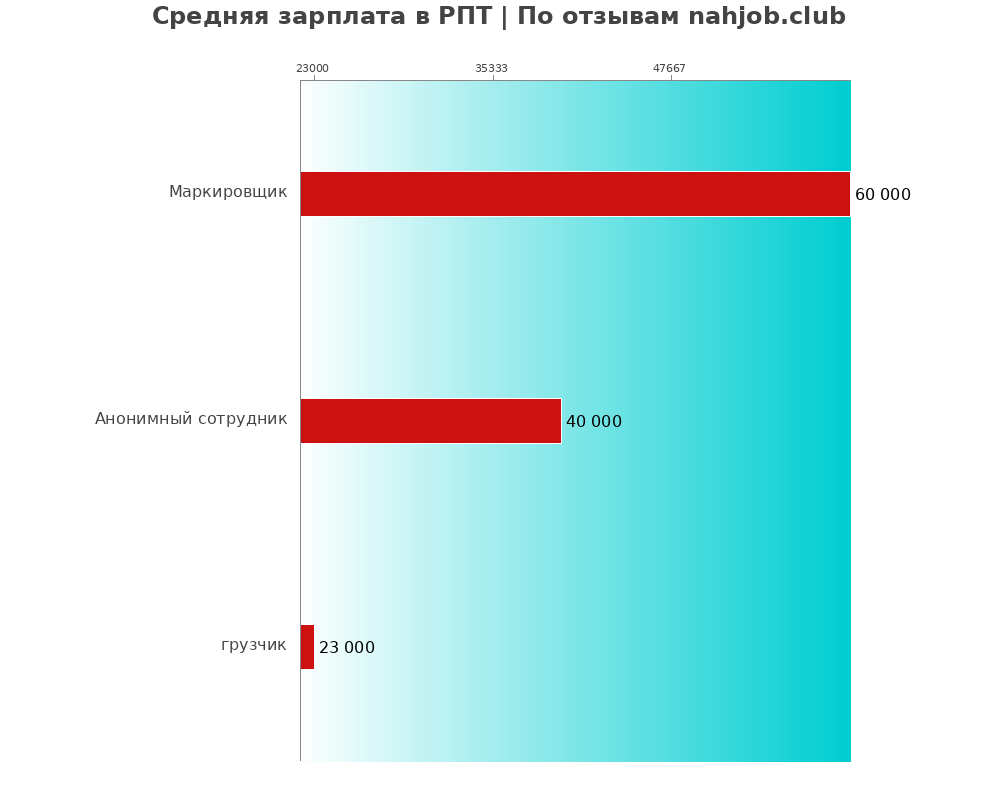 Средний уровень зарплаты в РПТ