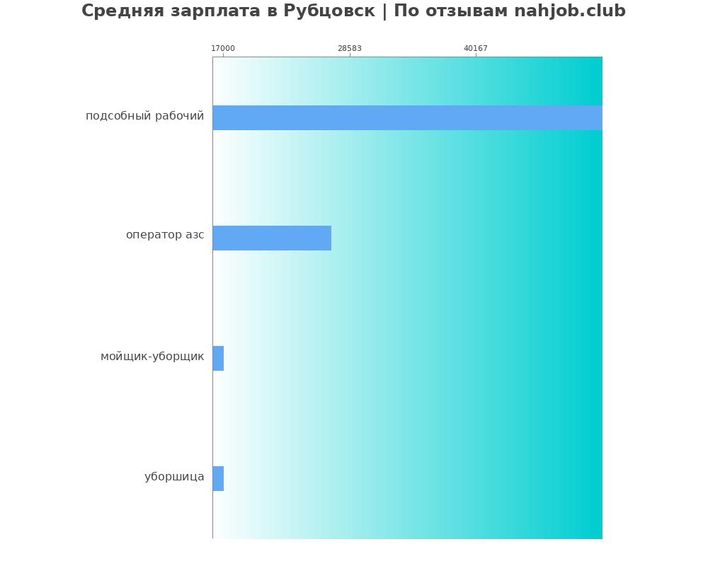 Средний уровень зарплаты в Рубцовске