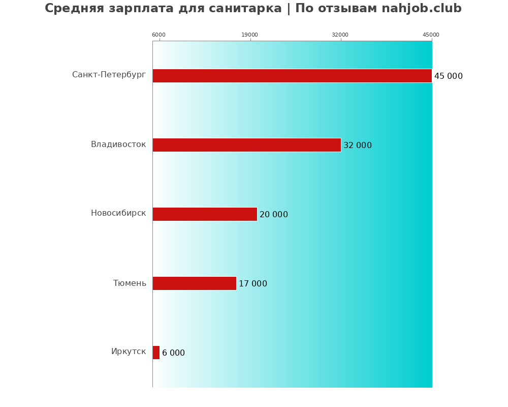 Средний уровень зарплаты в санитарке