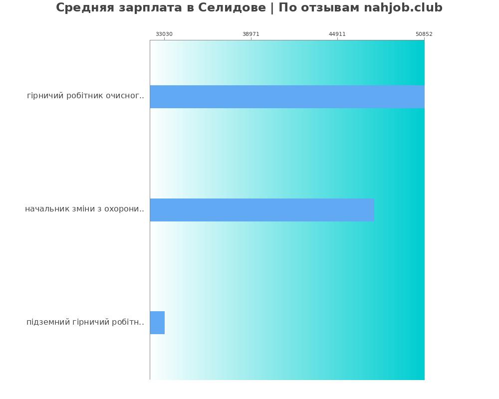 Средний уровень зарплаты в Селидово