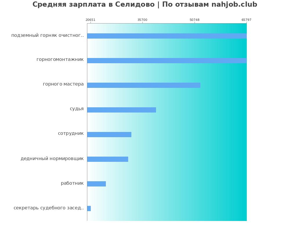 Средний уровень зарплаты в Селидово