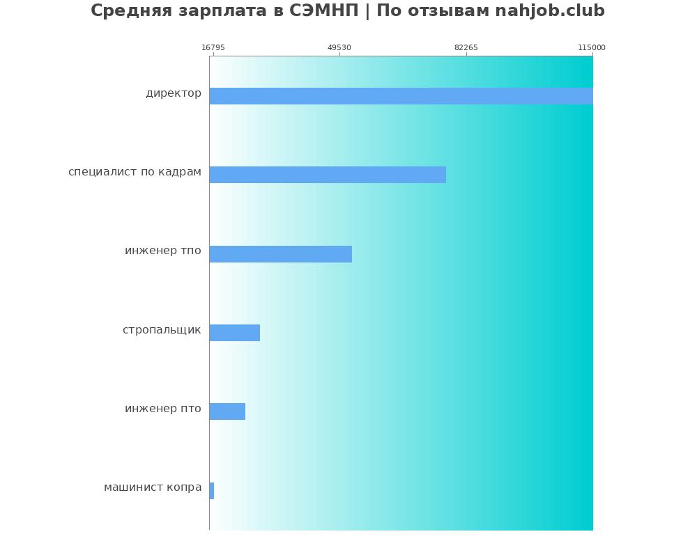 Средний уровень зарплаты в СЭМНП Средний уровень зарплаты в СЭМНП