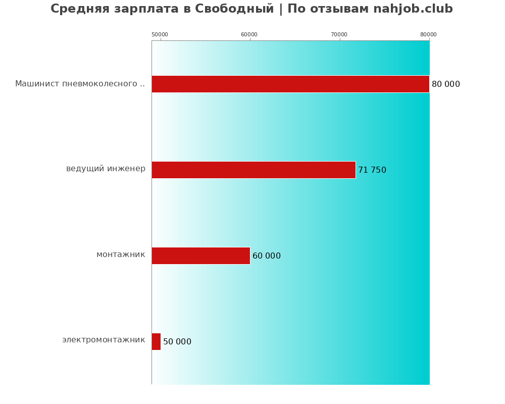 Средний уровень зарплаты в Свободном