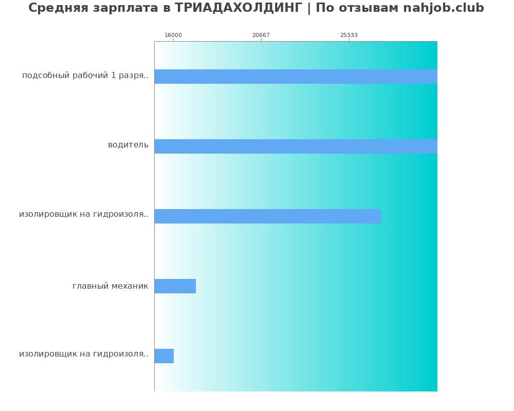 Средний уровень зарплаты в ТРИАДАХОЛДИНГ