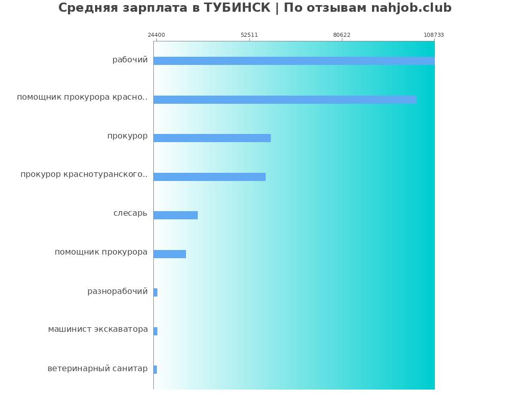 Средний уровень зарплаты в ТУБИНСК