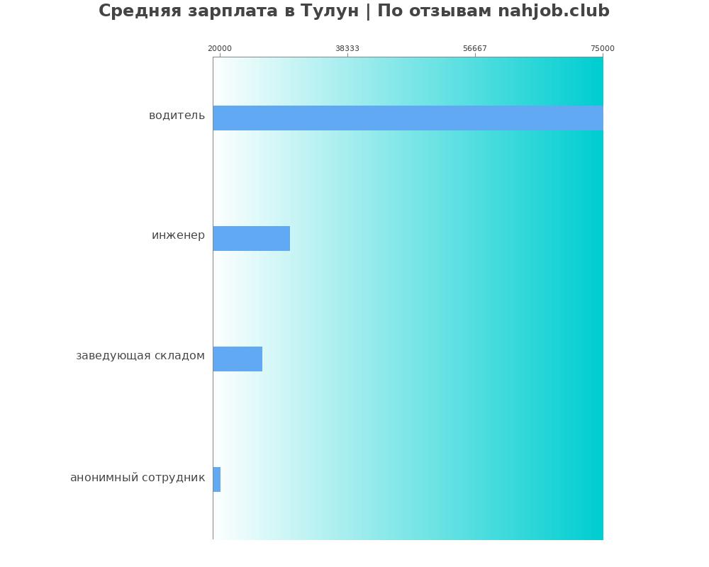 Средний уровень зарплаты в Тулуне