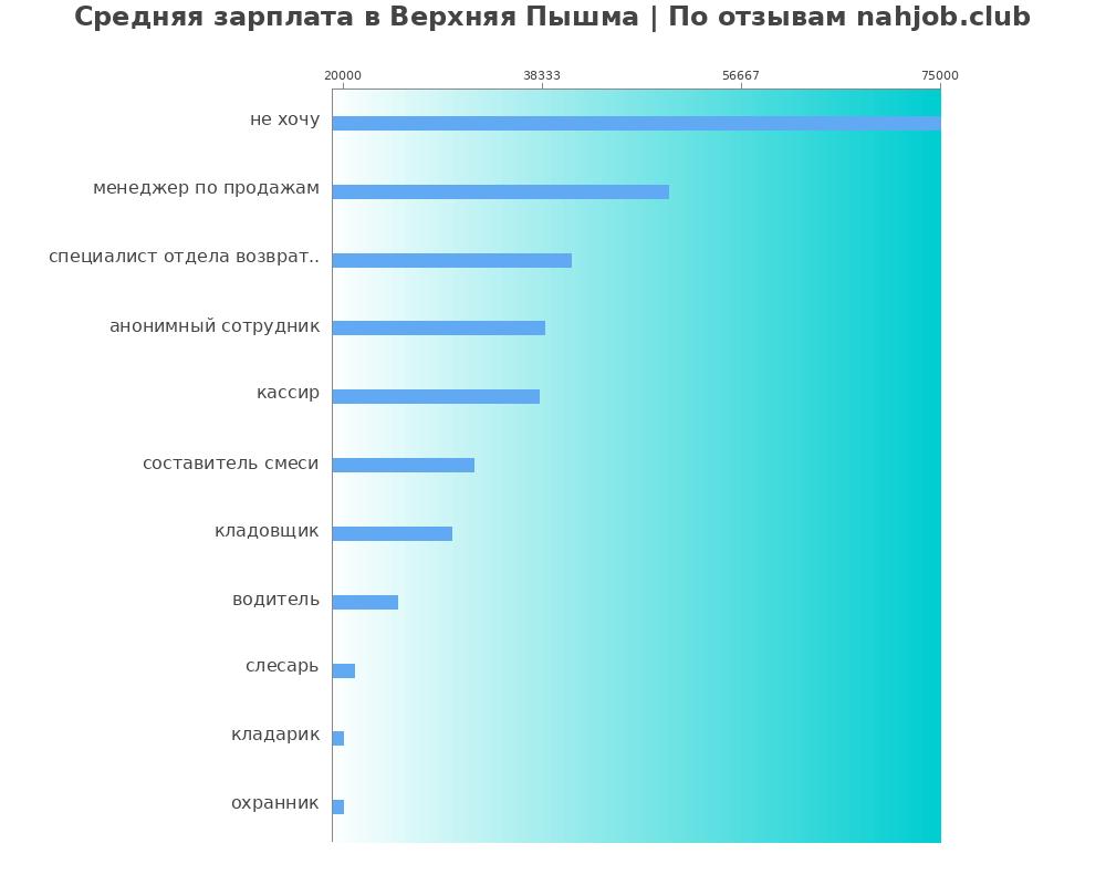 Средний уровень зарплаты в Верхней пышме