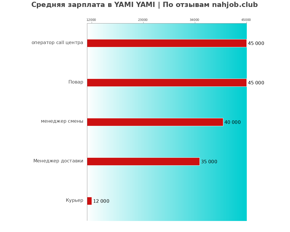 Средний уровень зарплаты в YAMI YAMI