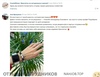 Файл к комментарию