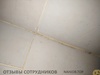Файл к комментарию