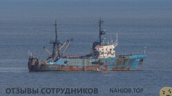 Аттач к отзыву мкс