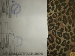 Аттач к отзыву ООО Хенгер плюс совместно с ООО Смит