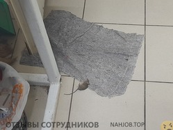 Аттач к отзыву ЧОП Фаворит