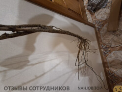 Файл к комментарию