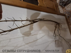 Файл к комментарию