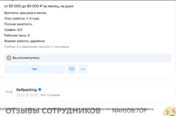 Аттач к отзыву Селфпакинг (ИП Попов И.В.)