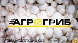 Отзывы АГРОГРИБ