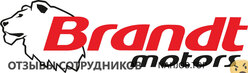 Отзывы о работе в  BRANDT MOTORS