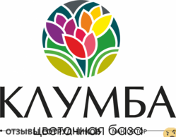 Отзывы КЛУМБА