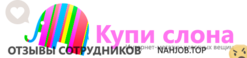 Отзывы о работе в  КУПИ СЛОНА