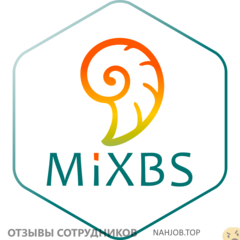 Отзывы о работе в  MIXBS