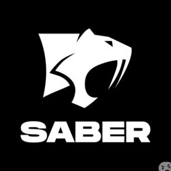 Отзывы SABER INTERACTIVE