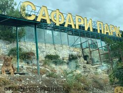 Отзывы САФАРИ ПАРК