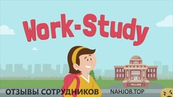 Отзывы STUDY WORK