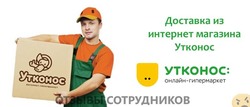 Отзывы о работе в  УТКОНОС